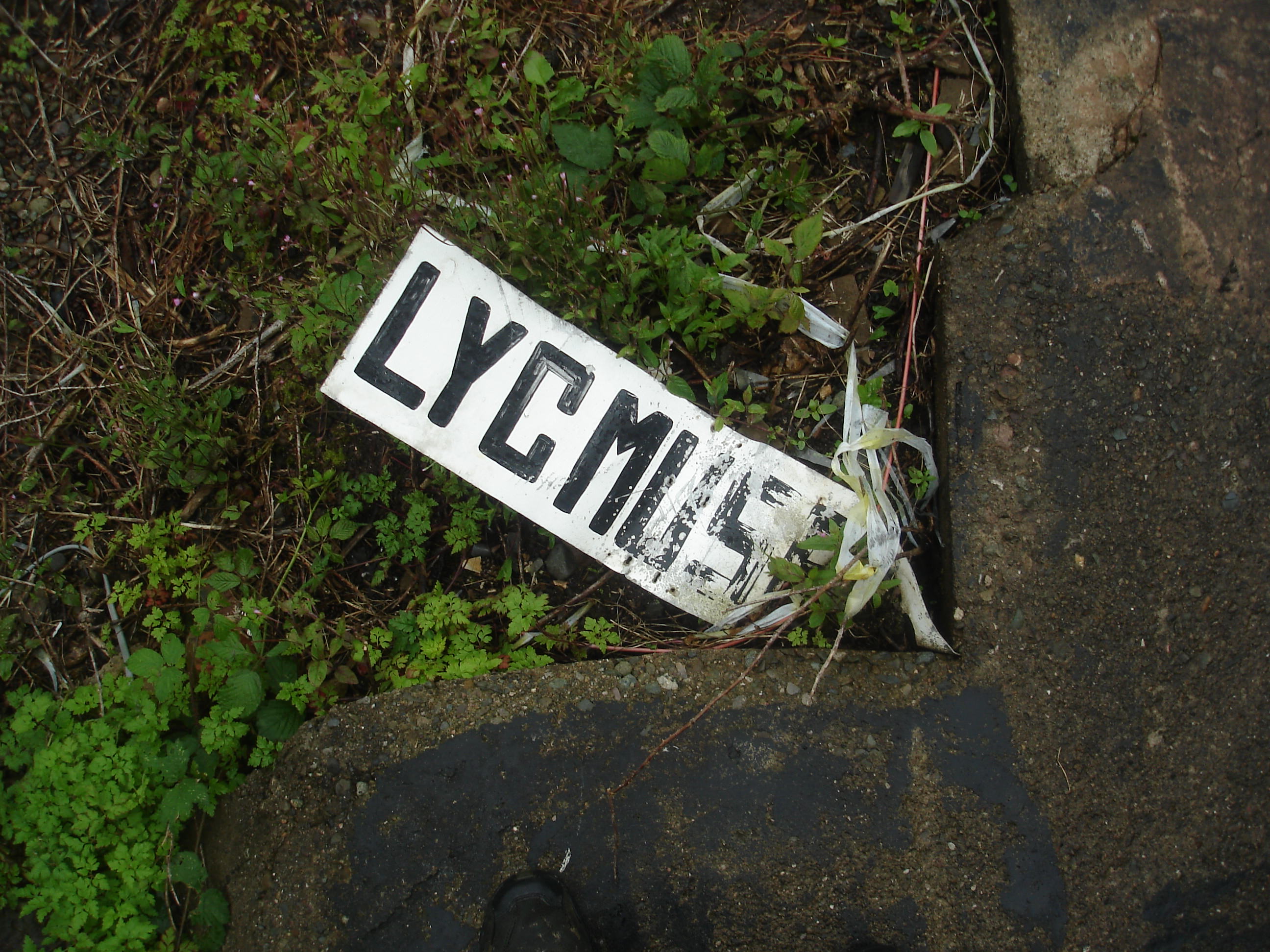 A sign with black lettering on a white background is damaged with paint loss, and it appears to be bent. It sits in the corner of a pavement amid weeds and twigs. The remaining text reads, “LYC Muse”.