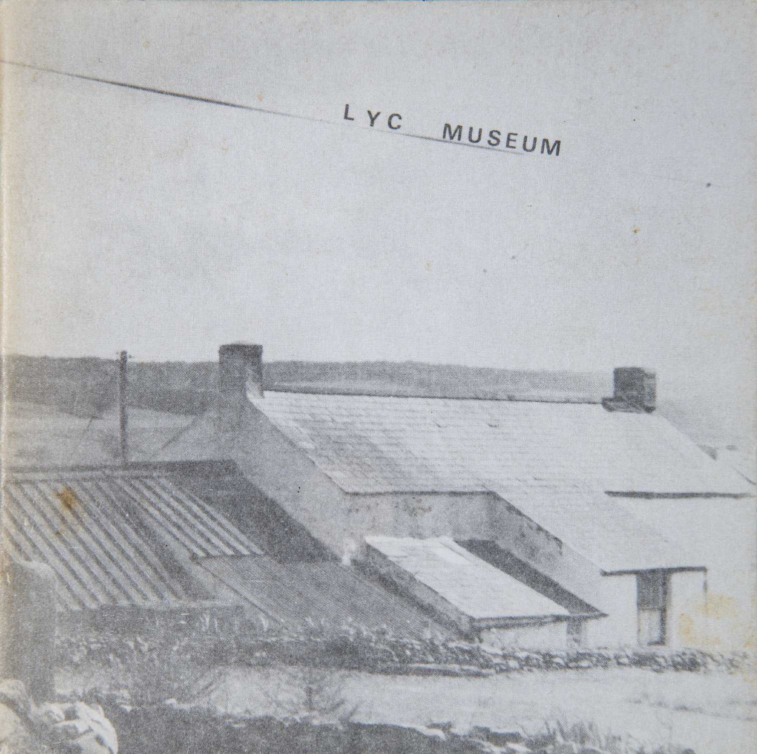 Book cover. Faded, black and white photograph of rooftops and a white-sided house. The angled title looks like it is underlined by a powerline.